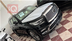 انفنتي QX80